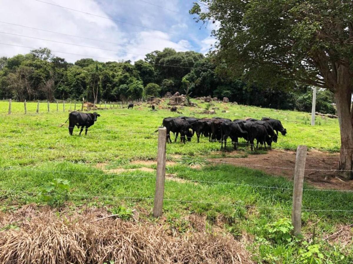 Sitio No Interior De Sp Curtir A Natureza Holiday home Aguas da Prata