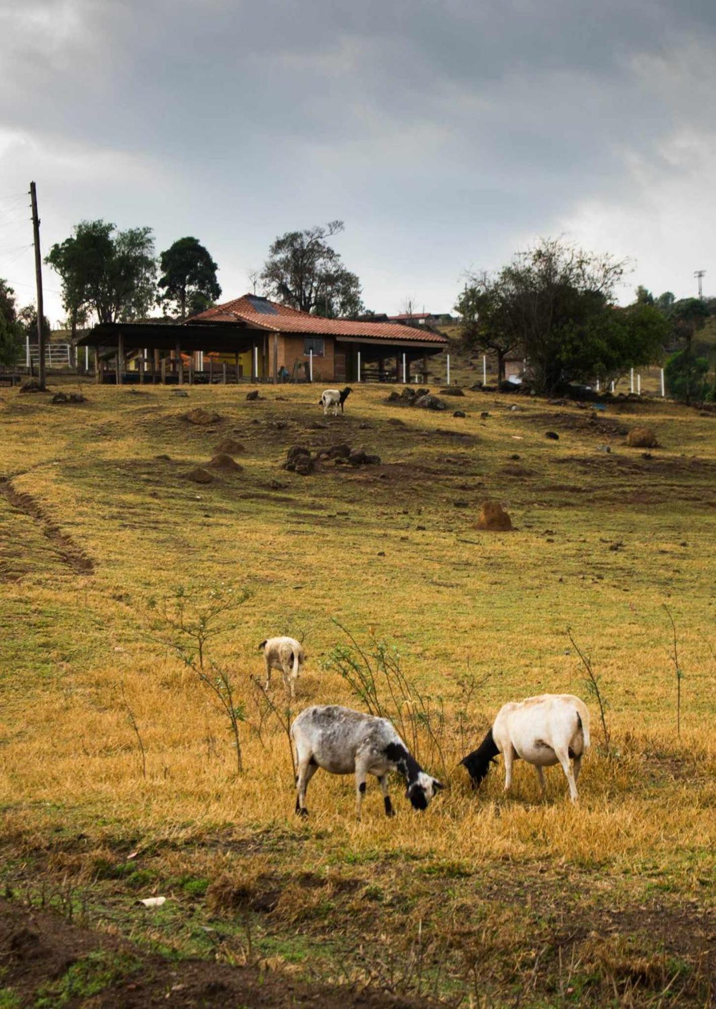 Sitio No Interior De Sp Curtir A Natureza * Aguas da Prata